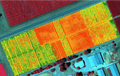 Remote Sensing Data Analysis